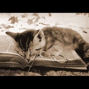 Meet your Posher, Debra